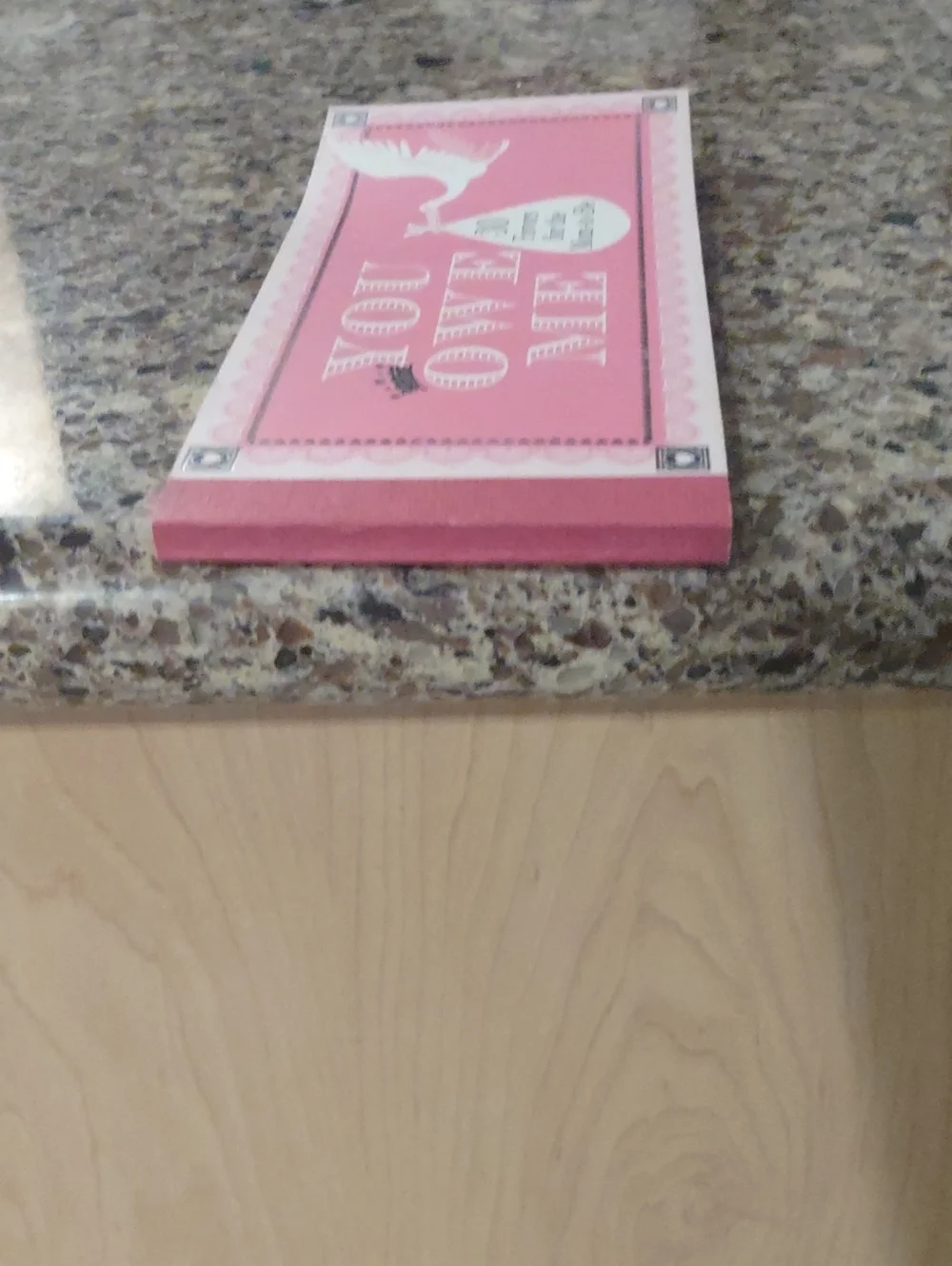 You Owe Me - 30 Pink Baby Shower Favors for Mom-to-Be